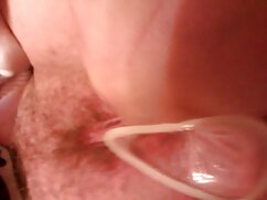 Utangaç ve eski türk filmleri porno azgın kedi